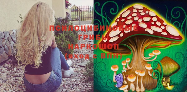первитин Новокубанск