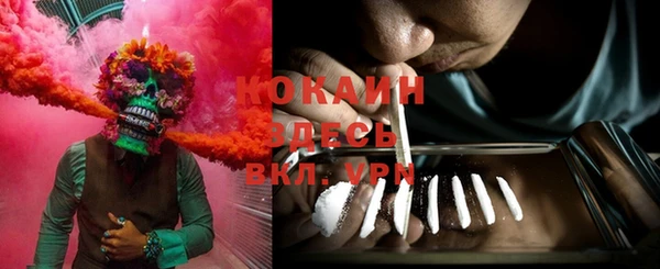 прущие крисы Новодвинск