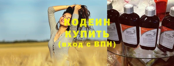 прущие крисы Новодвинск