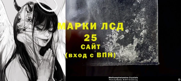 индика Нея